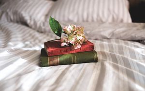 Превью обои книги, цветы, постель, вдохновение