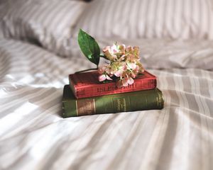 Превью обои книги, цветы, постель, вдохновение