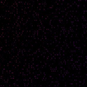 Превью обои код, бинарный код, цифр, текстура