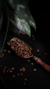 Превью обои кофе, кофейные зерна, растение, темный