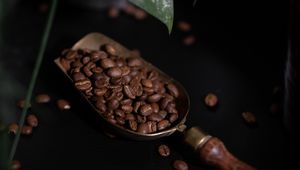 Превью обои кофе, кофейные зерна, растение, темный