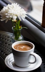 Превью обои кофе, напиток, чашка, цветы