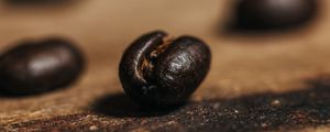 Превью обои кофейное зерно, кофе, зерно, коричневый