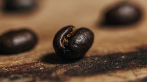 Превью обои кофейное зерно, кофе, зерно, коричневый
