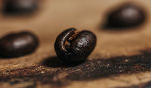 Превью обои кофейное зерно, кофе, зерно, коричневый