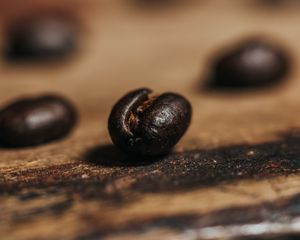 Превью обои кофейное зерно, кофе, зерно, коричневый