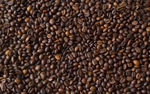Превью обои кофейные зерна, кофе, коричневый
