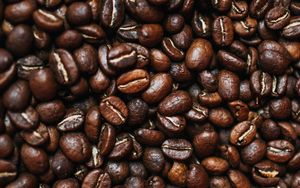 Превью обои кофейные зерна, кофе, зерна, коричневый, макро