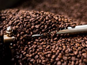 Превью обои кофейные зерна, кофе, зерна, кофемолка, коричневый
