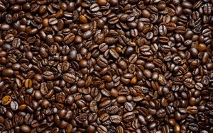 Превью обои кофейные зерна, зерна, кофе, коричневый
