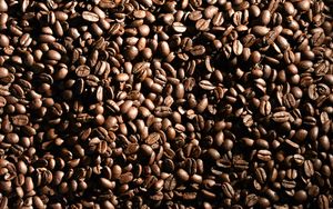 Превью обои кофейные зерна, зерна, кофе, коричный, макро