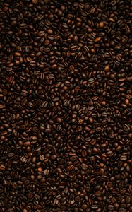 Превью обои кофейные зерна, зерна, кофе, обжарка, коричневый