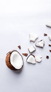 Превью обои кокос, орех, тропический, белый