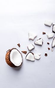 Превью обои кокос, орех, тропический, белый