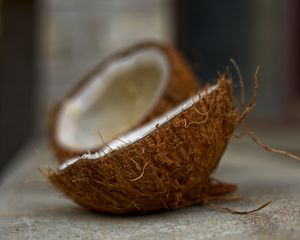 Превью обои кокос, орех, тропический