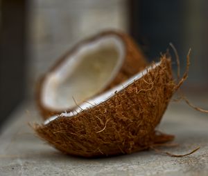 Превью обои кокос, орех, тропический