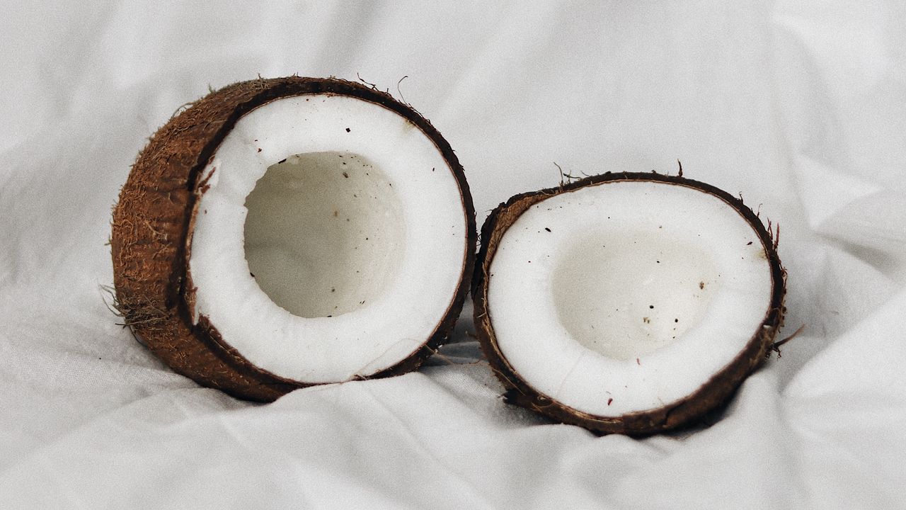 Обои кокос, плод, тропический, экзотический, текстура