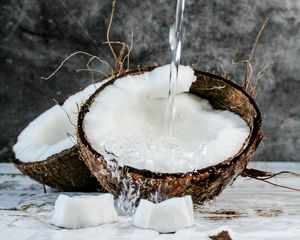 Превью обои кокос, плод, вода