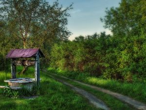 Превью обои колодец, утро, лес, тропа, дорога, зеленый