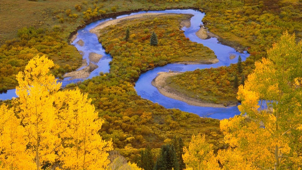 Обои колорадо, петля, река, деревья, лес, осень, winding creek, gunnison national forest, изгибы