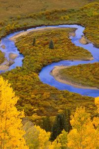 Превью обои колорадо, петля, река, деревья, лес, осень, winding creek, gunnison national forest, изгибы