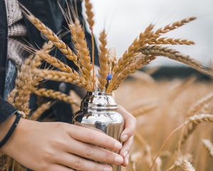 Превью обои колосья, трава, руки, пальцы