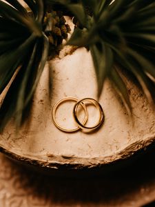 Превью обои кольца, золото, любовь, свадьба, романтика