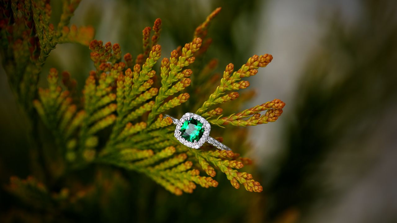 Обои кольцо, камень, растение