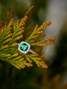 Превью обои кольцо, камень, растение