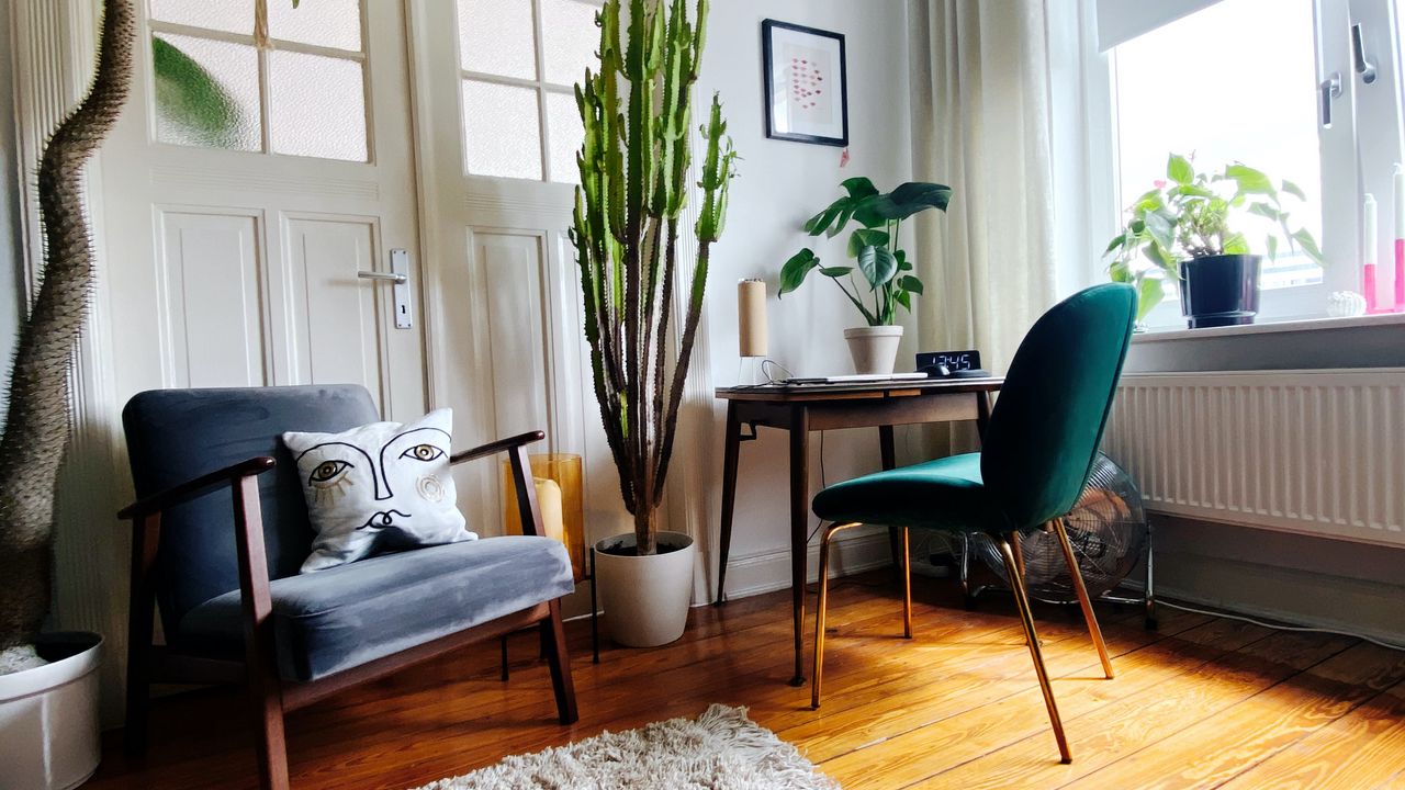 Обои комната, интерьер, кресло, стол, комнатное растение