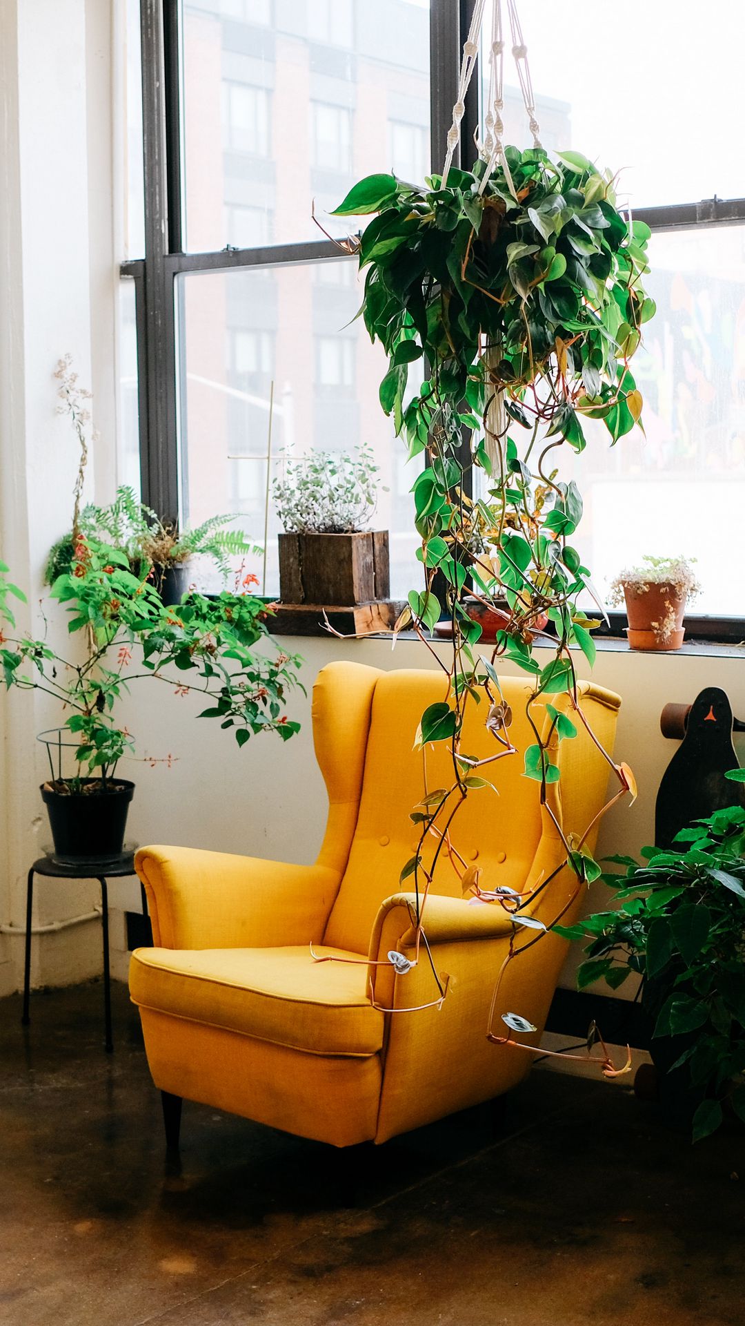 Кресло с растениями