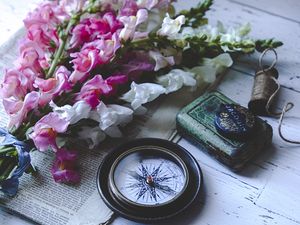 Превью обои компас, цветы, газета, эстетика