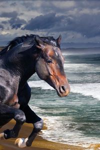 Превью обои конь, берег, море, волна