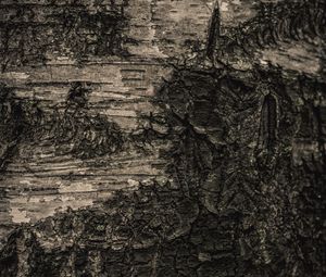Превью обои кора, дерево, макро, текстура