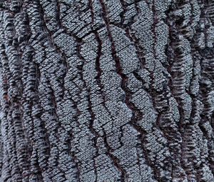 Превью обои кора, дерево, узор, текстура