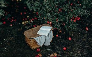 Превью обои корзина, книга, яблоки, урожай