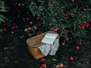 Превью обои корзина, книга, яблоки, урожай