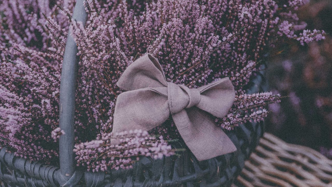 Обои корзина, лаванда, цветы, фиолетовый, бант