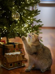 Превью обои кошка, елка, питомец, серый, новый год, рождество