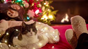 Превью обои кошка, гирлянда, елка, новый год, рождество