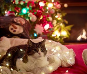 Превью обои кошка, гирлянда, елка, новый год, рождество
