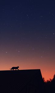 Превью обои кошка, силуэт, питомец, крыша, звезды