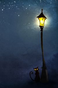 Превью обои кошки, ночь, фонарь