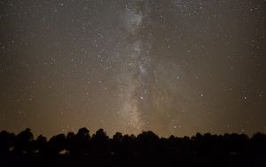 Превью обои космос, звездное небо, силуэт, деревья