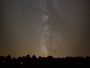 Превью обои космос, звездное небо, силуэт, деревья