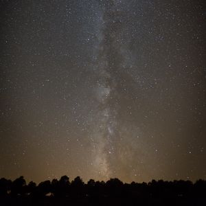 Превью обои космос, звездное небо, силуэт, деревья