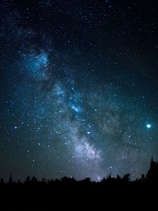 Превью обои космос, звезды, созвездие, деревья