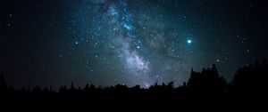 Превью обои космос, звезды, созвездие, деревья