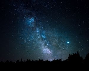 Превью обои космос, звезды, созвездие, деревья
