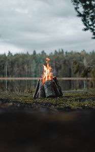 Превью обои костер, бревна, пламя, огонь, лес